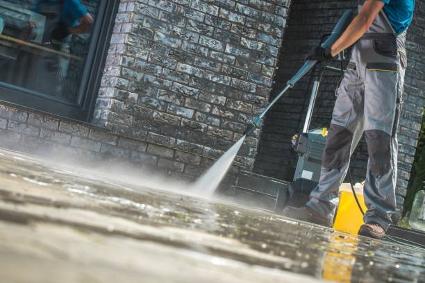 Best Fleet Vehicle Washing  in Newtown, PA
